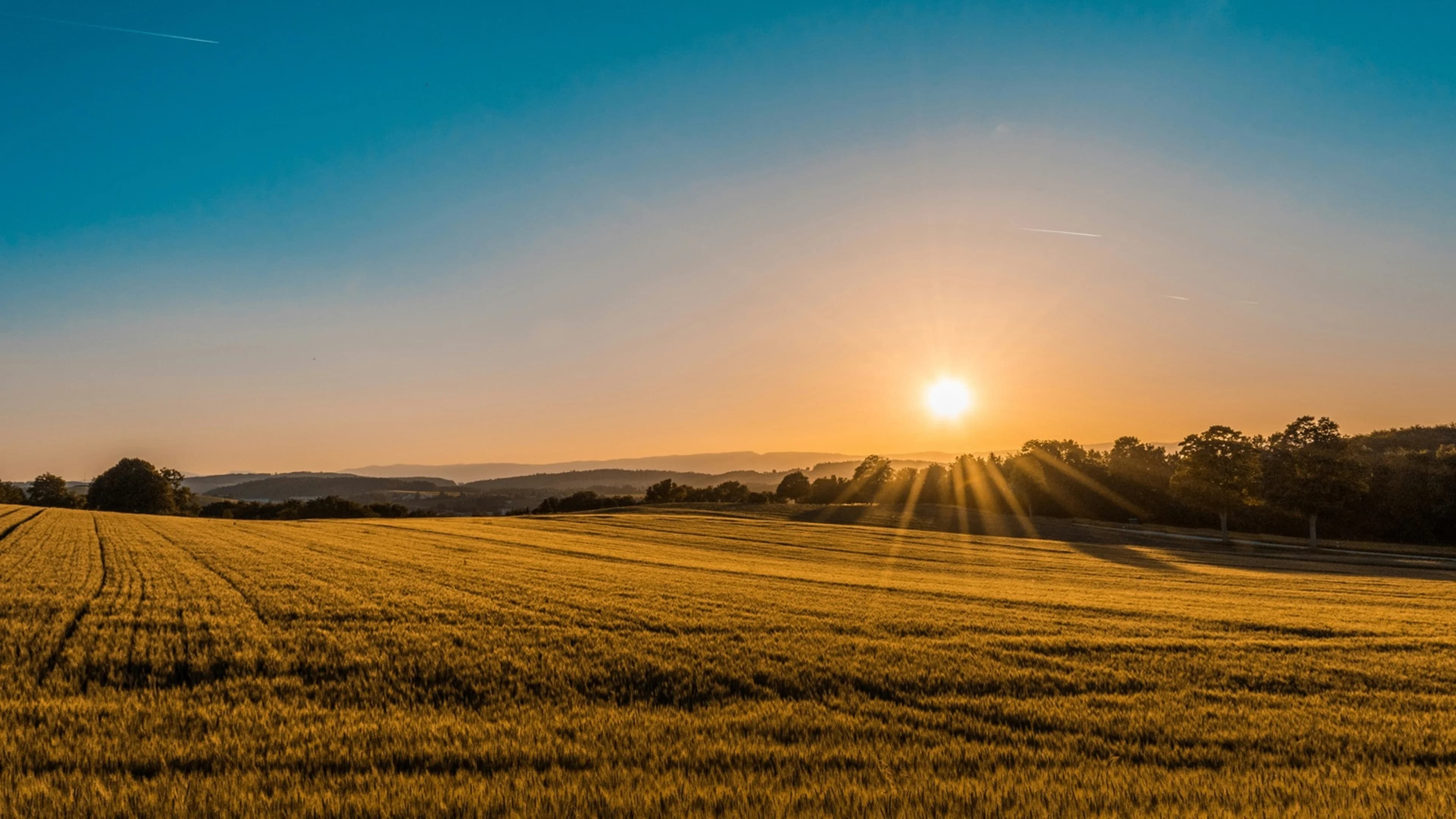 Campo de La Tranquilina al atardecer, con sol radiante en el horizonte